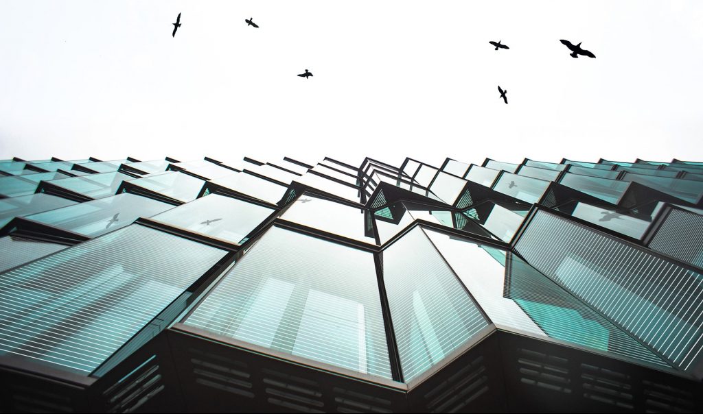 bird safe glass by GlasPro