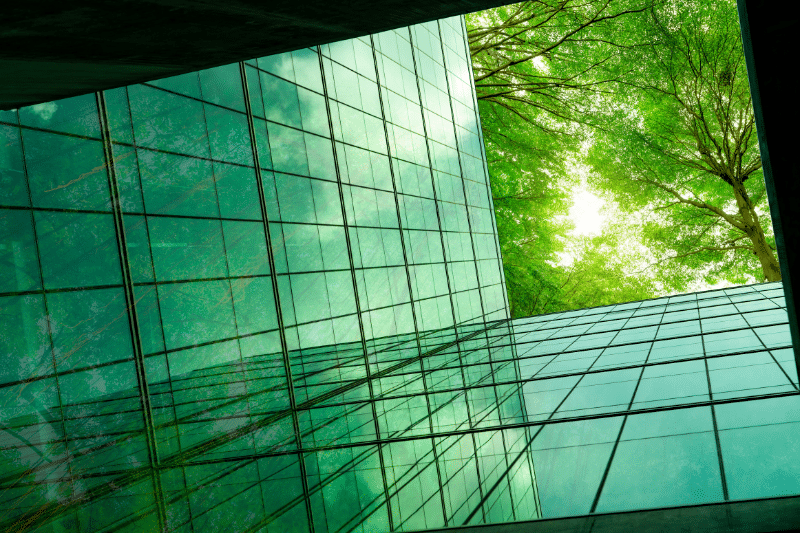 Artistic image of a glass building with trees above and sunlight shining through