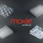 moxie surfaces translucent honeycomb panels