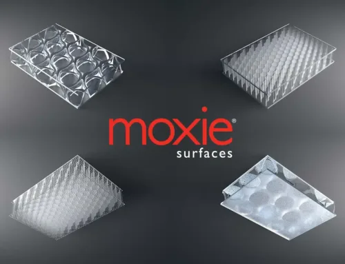Panelite and Bencore natural alternative with Moxie Surfaces’ ECO translucent honeycomb panels