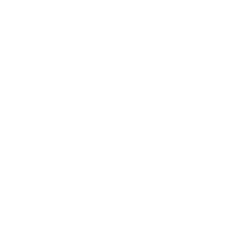 brochure icon
