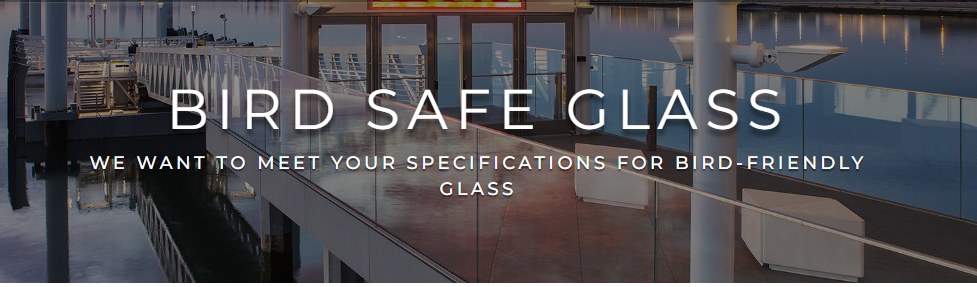 Bird Safe Glass banner showing glass railings along a waterfront walkway
