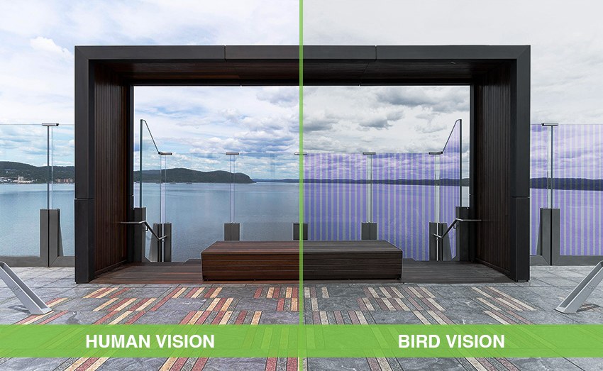 Scenic overlook glass shown in human vision and bird vision, where the UV coating appears as visible stripes